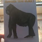 Joe Rackley - @joe.edmonds.54772 - Instagram