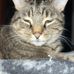 Joe Ragman - Facebook