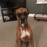 Joe Ratcliff - @babykisses102 - Instagram