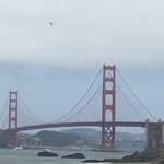 Joe Redd - @redd.joe - Instagram