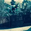 Joe redd - @joe.redd_flips - TikTok