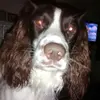 Jo Redding - @jo.redding - TikTok