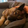 joel_rexroad724 - @red...cherrys - TikTok