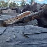 Joe Rhea - @joerhea54 - Instagram
