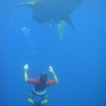 Joe Rhoades - @joe.rhoades - Instagram