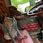 Joe Rhoades - @jrhoades9 - Instagram