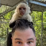 Joe Ribaudo - @joerib - Instagram