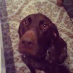 Joe Ricks - @jricks5 - Instagram