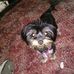 Joe Rigsby - Facebook