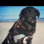 Joe Rigsby - @rigsby.joe - Instagram