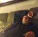 Joe Roach - Facebook