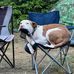 Joseph Roach - Facebook
