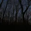 user4476681921257 - @robbie__joe - TikTok