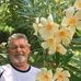 Joe Robert  - Facebook