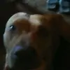 joe robledo - @user5yrhdcrsae - TikTok