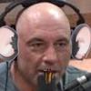 JoeRodent - @thejoerodentexperience - TikTok