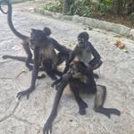 Joe Rolfe - @rolfe3144 - Instagram