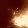 joerolfes70 - @joerolfes70 - TikTok