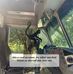 Joe Fish Rollings - Facebook