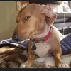 joeroni12_1998 - @joeroni12_1998 - TikTok