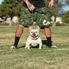 Joe Ryan - @303detailsandmydogs - TikTok