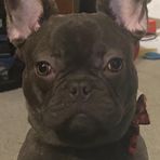 Joe Saba - Facebook