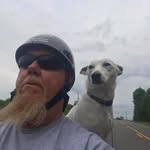 Joe Samples - @yuriypavlovzoo9 - Instagram
