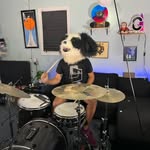 joe scala - @joescaladrums - Instagram
