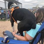 Pops Joe - @joe.scarfone.7 - Instagram