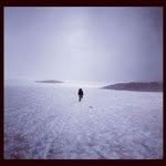 Joel Schauer - @joelschauer - Instagram