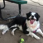 Joe Brian Schell - @mrjoebrian - Instagram