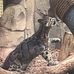 Joe Scherer - Facebook