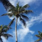 Joe Schiller - @joe.schiller.902 - Instagram