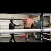 Joe Schofield - @joeschofield5 - TikTok