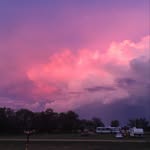 Joey Walterson-scribner - @joeywalterson - Instagram