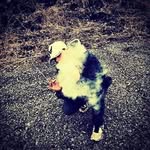 Ryan Joesph Scribner - @ryanjoesphscribner - Instagram