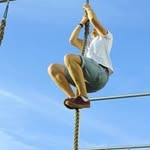 Joe Seal - @joefredseal - Instagram