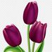 Joe See - Facebook