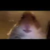 joeseeee234 - @joeseeee234 - TikTok