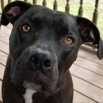 Joe Serio - @joe.serio.73 - Instagram