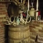 Joe Sgroi - @joe.sgroi.351 - Instagram