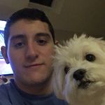 Joe Sgroi - @joesgroi52 - Instagram