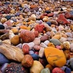 Joe Shang - @shang.joe - Instagram