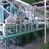 Joe Shang - @grainprocessingmachinery - TikTok