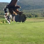 Joe Sheehy - @joe.sheehy.7 - Instagram