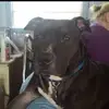 Joe Shook - @joe.shook2 - TikTok