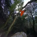 Joe showalter - @joseph.showie - Instagram