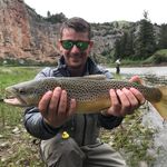 Joseph Showalter - @fiddlinjoe89 - Instagram