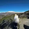 joe snider - @joe.snider97 - TikTok