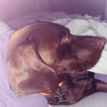 Joe Sowell - @joesowell2012 - Instagram